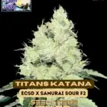 Titans Katana (Regular) - Bless Coast Seeds
