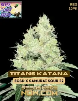 Titans Katana Regular Cannabis Seeds by Bless Coast Seeds featuring East Coast Sour Diesel and Samurai Sour F2 lineage