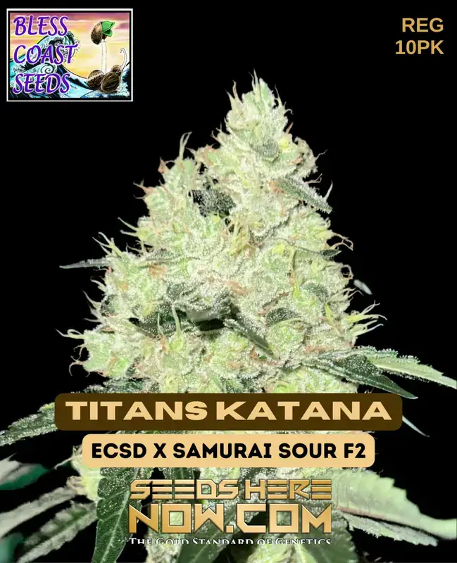 Titans Katana Regular Cannabis Seeds by Bless Coast Seeds featuring East Coast Sour Diesel and Samurai Sour F2 lineage