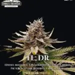 TL;DR (Regular) - Emerald Mountain Legacy