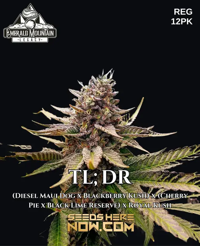 TL;DR Regular Seeds by Emerald Mountain Legacy featuring hybrid cannabis strain with lineage including Diesel Maui Dog, Blackberry Kush, and more