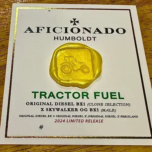 Tractor Fuel Regular Seeds by Aficionado Seeds featuring Indica Dominant, Diesel and Citrus Aromas