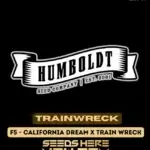 Trainwreck (Regular) - Humboldt Seed Company
