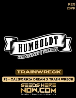 Trainwreck Cannabis Seeds (space) Sativa Dominant, High THC