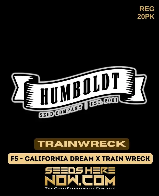 Trainwreck Cannabis Seeds - Sativa Dominant, High THC