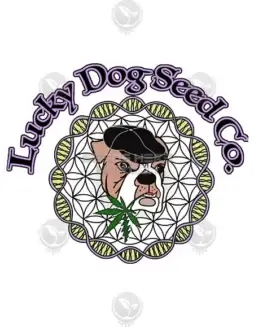 Trop Dog Cannabis Seeds (space) Tropicana Cherry x Chem 91 BX3 Hybrid Strain