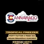 Tropical Freezer (Regular) - Cannarado Genetics