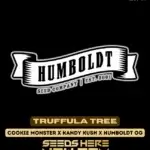 Truffula Tree (Regular) - Humboldt Seed Company