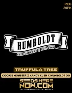 Truffula Tree cannabis seeds by Humboldt Seed Company, showing Indica(space)dominant strain with 24(space)28% THC.