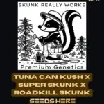 Tuna Can Kush x Super Skunk x Roadkill Skunk (Regular) - Skunk Really Works
