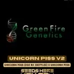 Unicorn Piss V2 (Regular) - Green Fire Genetics