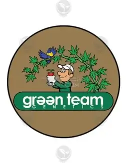 Image of Upside Boundcake regular cannabis seeds by Green Team Genetics