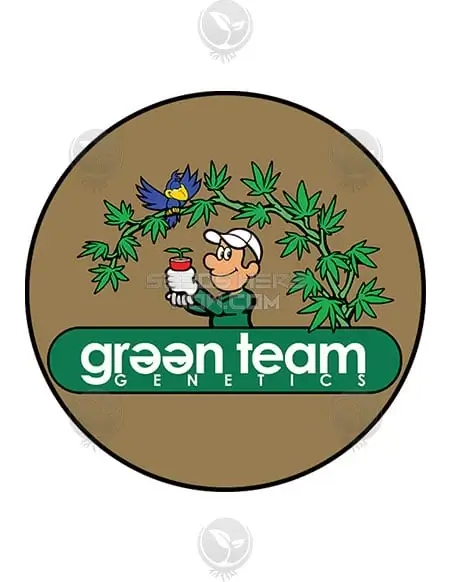 Image of Upside Boundcake regular cannabis seeds by Green Team Genetics