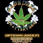 Uptown Juice (Regular) - Eazy Daze Cultivators