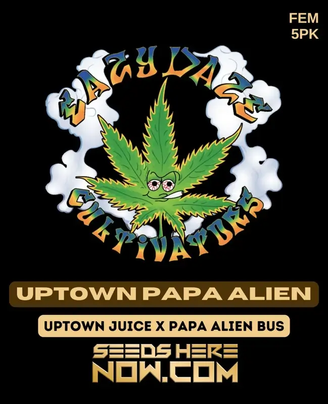 Uptown Papa Alien Cannabis Seeds - Feminized Hybrid Strain by Eazy Daze Cultivators