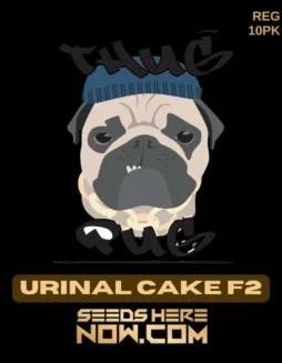 Urinal Cake F2 Cannabis Seeds by Thug Pug Genetics featuring earthy, skunky aroma and high THC content