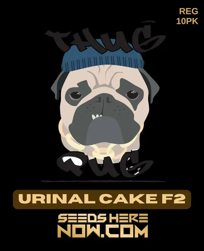Urinal Cake F2 Cannabis Seeds by Thug Pug Genetics featuring earthy, skunky aroma and high THC content
