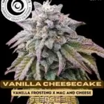 Vanilla Cheesecake (Regular) - Happy Dreams Genetics