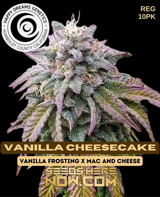 Vanilla Cheesecake Seeds, a hybrid strain by Happy Dreams Genetics featuring flavors of vanilla and cheesecake