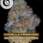 Vanilla Frosting (Regular) - Happy Dreams Genetics