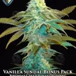 Vanilla Sundae 710 Bonus Pack (Feminized) - T.H. Seeds