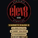 Variety Pack 3 (Feminized) - Elev8 Seeds