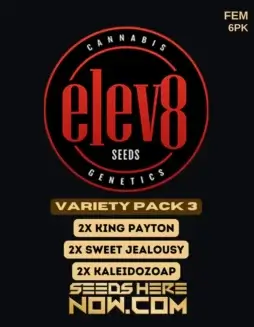Variety Pack 3 Feminized Seeds (space) Hybrid Cannabis by Elev8 Seeds with 17(space)22% THC