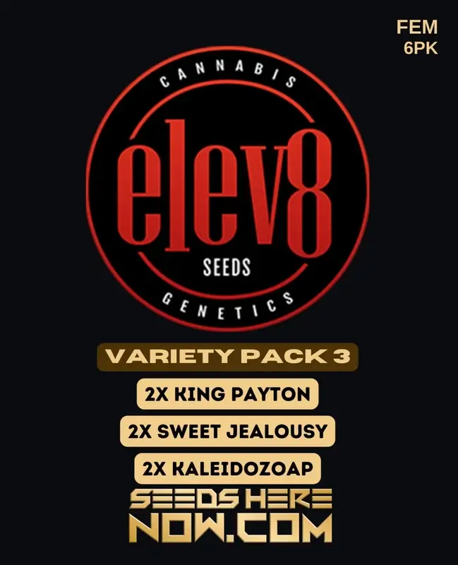 Variety Pack 3 Feminized Seeds - Hybrid Cannabis by Elev8 Seeds with 17-22% THC