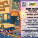 Vice City Box Set (Feminized) - Raw Genetics