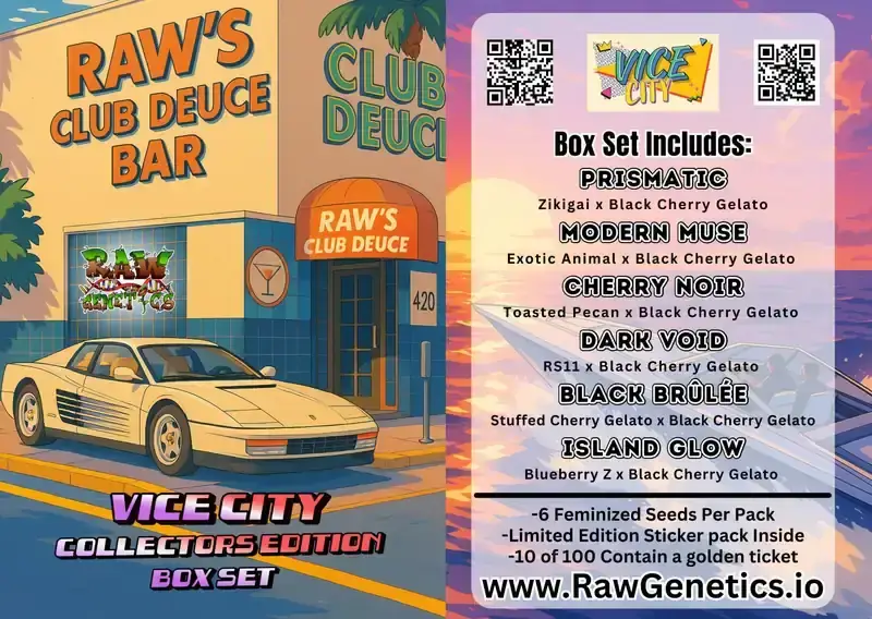 Vice City Collector’s Edition Box Set featuring Black Cherry Gelato crosses