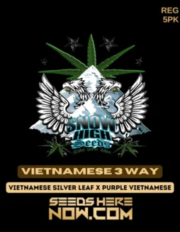 Vietnamese 3 Way Regular Seeds featuring citrus, pine, earth, and spice flavors