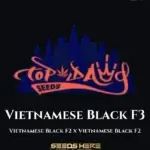 Vietnamese Black F3(Regular) - Top Dawg Seeds