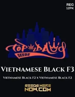 Vietnamese Black F3 Cannabis Seeds by Top Dawg Seeds