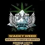 Wacky Weed (Regular) - Snow High Seeds