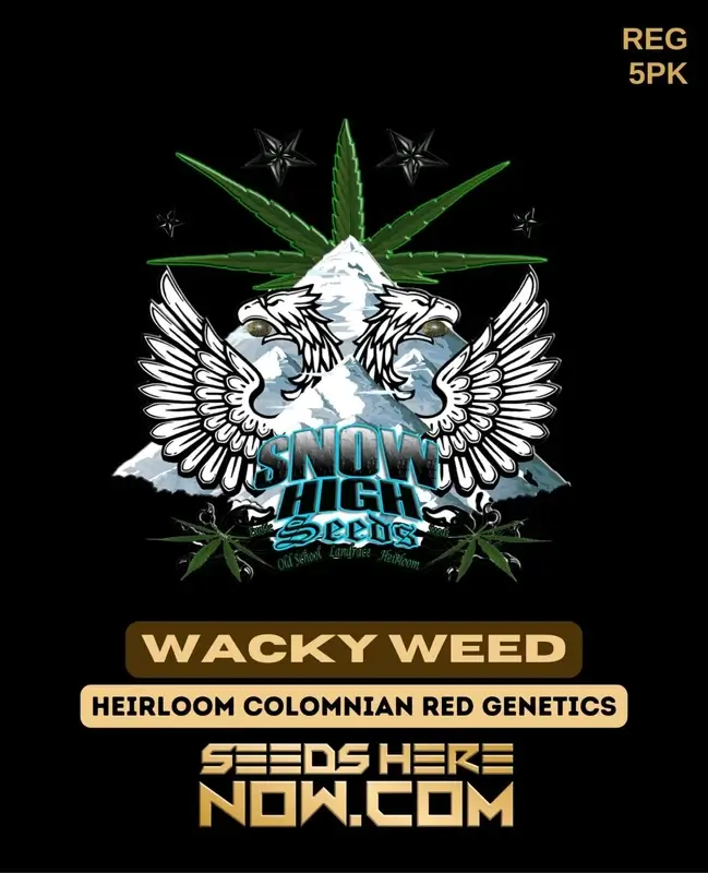 Wacky Weed regular cannabis seeds by Snow High Seeds, a potent Colombian Red hybrid