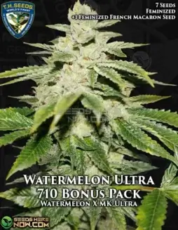 Watermelon Ultra 710 cannabis seeds pack by T.H. Seeds, feminized for guaranteed female plants