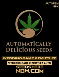 Pack of Wedding Cake x Zkittlez Autoflower Seeds (space) Indica dominant with vanilla and fruity aroma