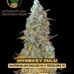 Whiskey Zulu (Autoflower) - Automatically Delicious