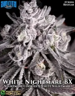White Nightmare BX regular cannabis seeds, featuring blueberry, pine, and earthy flavors with 20(space)25% THC.