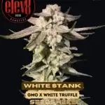 White Stank (Feminized) - Elev8 Seeds