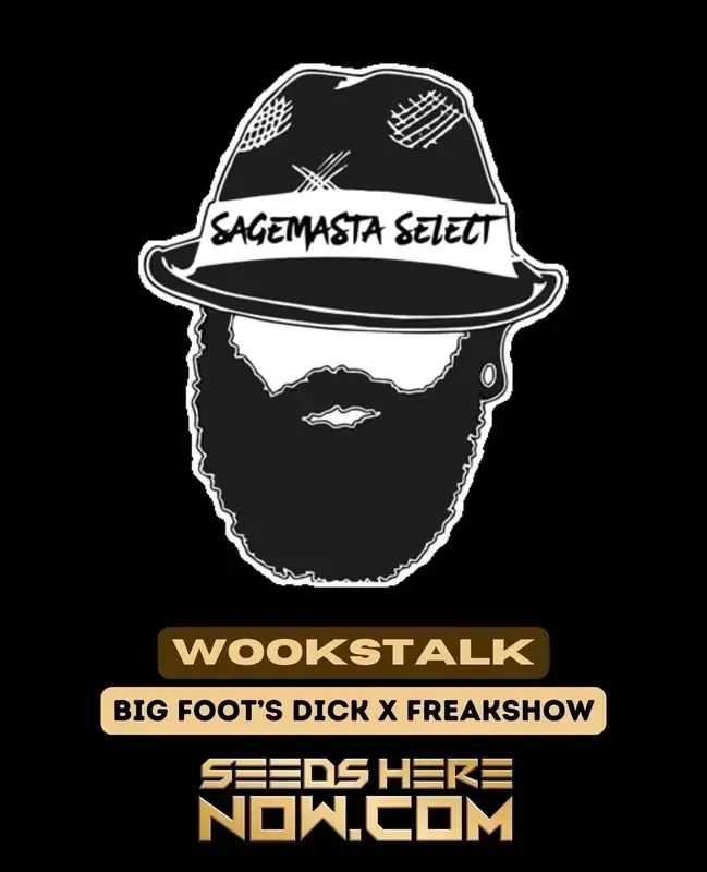 Wookstalk cannabis seeds, hybrid strain by S.A.G.E.masta showing sugar-dipped pinecone-like buds