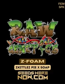 Z(space)Foam Cannabis Seeds (space) Regular Type by Raw Genetics
