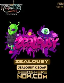 Zealousy Feminized Seeds (space) High THC Hybrid Strain by Nasha Genetics