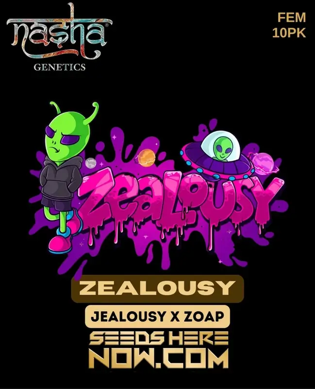 Zealousy Feminized Seeds - High THC Hybrid Strain by Nasha Genetics