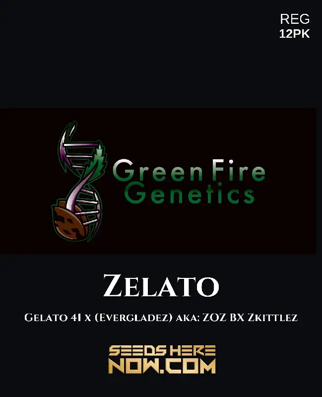 Zelato cannabis seeds by Green Fire Genetics, a hybrid strain with sweet, citrus, and floral aromas.