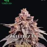 Zkittlez FV (Feminized) - TurboFlora Genetics