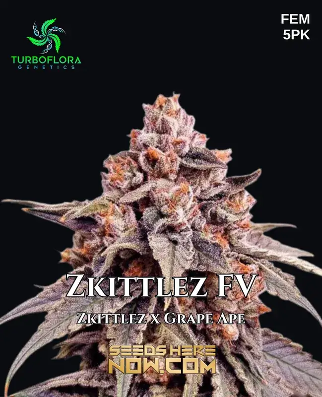 Zkittlez FV Feminized Seeds - Aromatic Indica-dominant hybrid with fruity, tropical flavors