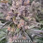 Zkittlez (Regular) - Best Coast Genetics