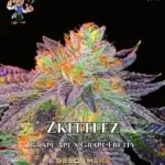 Zkittlez Seeds S1 (Feminized) - Dr. Blaze