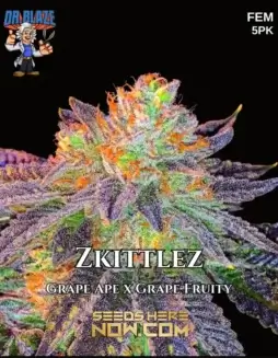Zkittlez Cannabis Seeds (space) Hybrid Strain by Dr. Blaze
